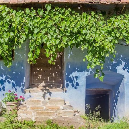 Experience Transylvania Viscri 63B Bagian luar foto
